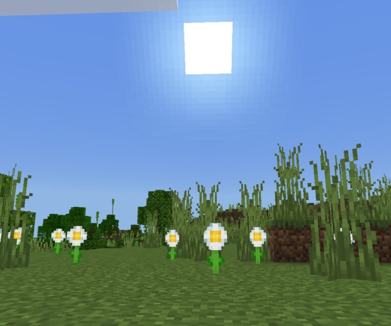 Thiết lập môi trường cho addon minecraft cơ bản cho người mới