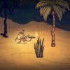 Don’t Starve Shipwrecked - Ảnh 6