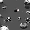 Happy Game - Ảnh 3