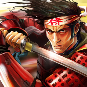 Samurai 2: Vengeance