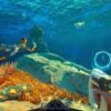 Subnautica - Ảnh 5