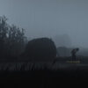 Inside của Playdead (Full Game) - Ảnh 6