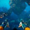 Subnautica - Ảnh 6