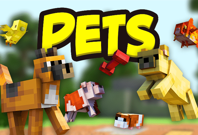 Pets – Việt hóa